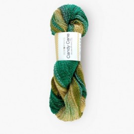 Candy Cane 106 - succulent