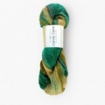 Candy Cane 106 - succulent