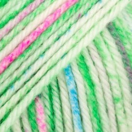 Party 18 - watermelon