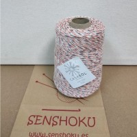 1 cone Eco Combi (500g) na cor salmão