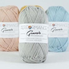 Genesis 2007 - cinza claro