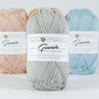 Genesis 2007 - gris claro