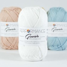 Genesis 2013 - branco