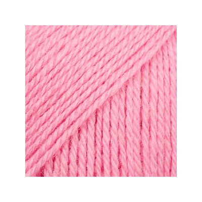 Flora 36 - pétalo de rosa