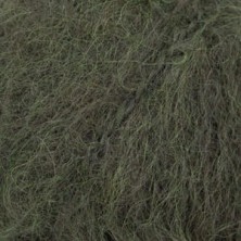 Melody 32 - bosque oscuro