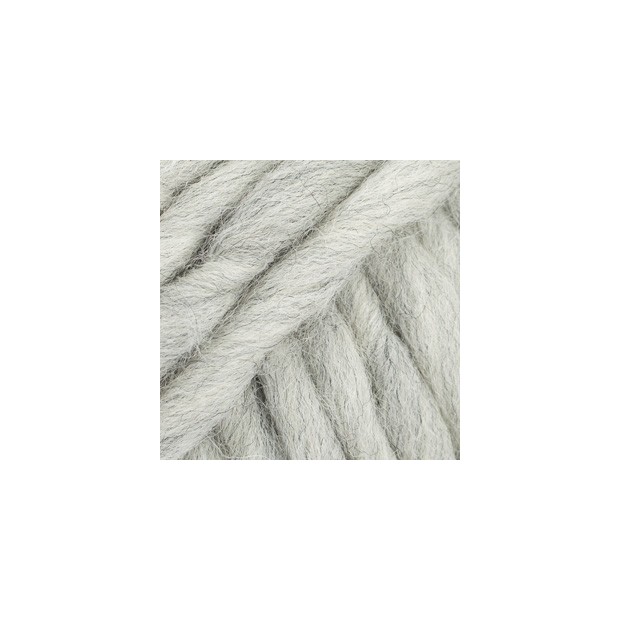 Polaris 11 - gris claro-1