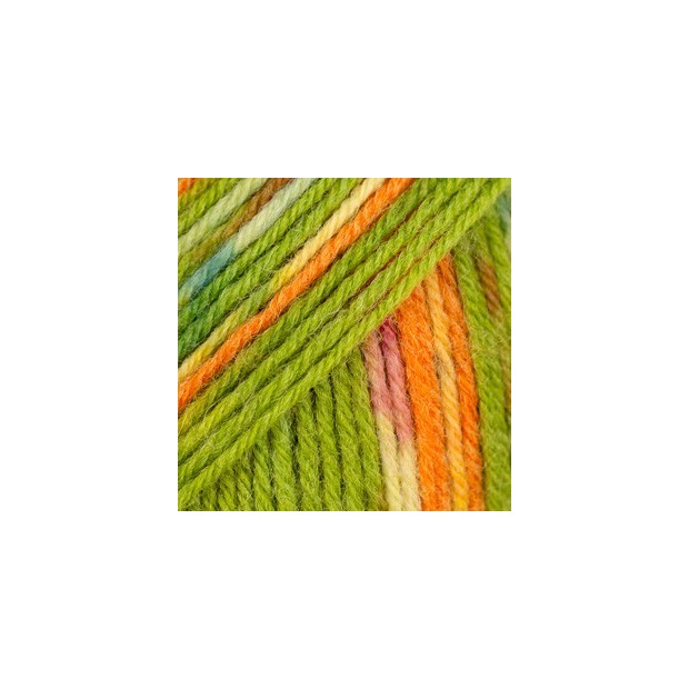 Fabel 151 - guacamole-3