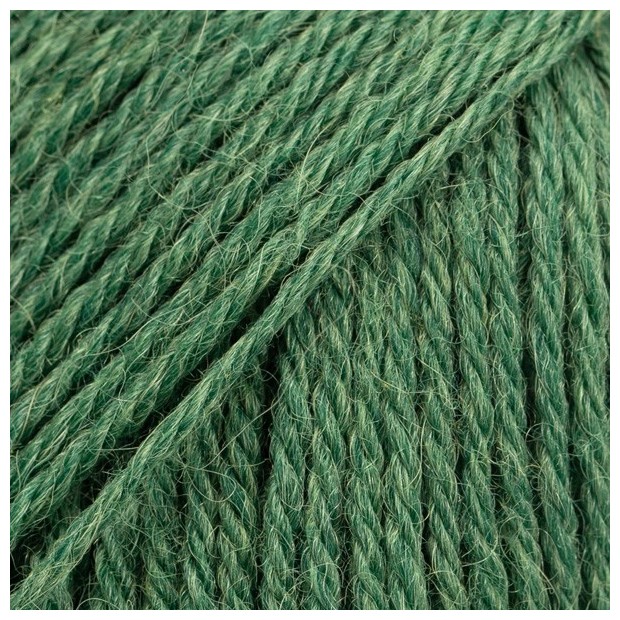 Nord 19 - verde bosque