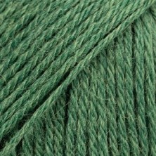 Nord 19 - verde bosque-1