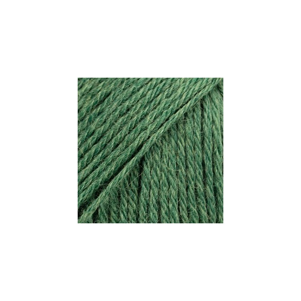 Nord 19 - verde bosque-1
