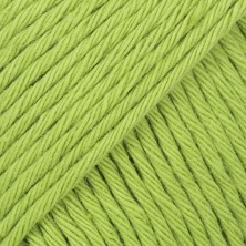 Paris 39 - wasabi