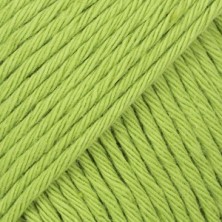 Paris 39 - wasabi-1