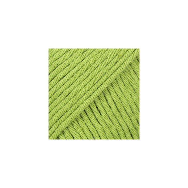 Paris 39 - wasabi-1