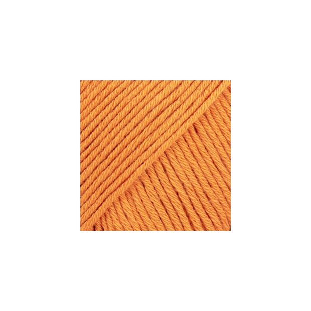 Safran 67 - calabaza-1