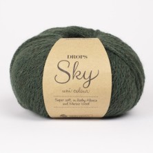 Sky 20 - hiedra oscura