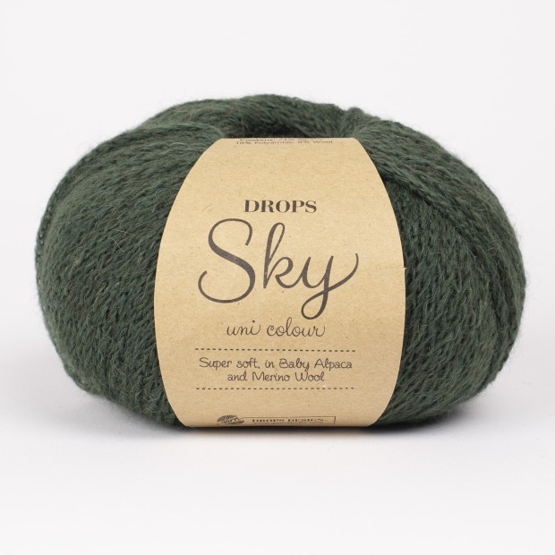 Sky 20 - hiedra oscura