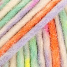 Snow 140 - carnaval de colores-1