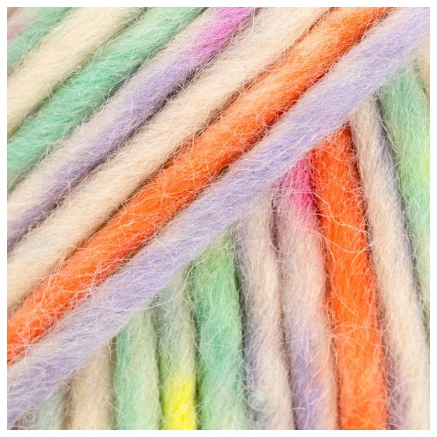 Snow 140 - carnaval de colores-1