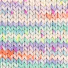 Snow 140 - carnaval de colores-2