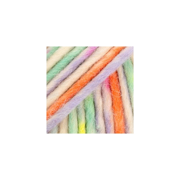 Snow 140 - carnaval de colores-3