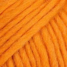 Snow 101 - mandarina
