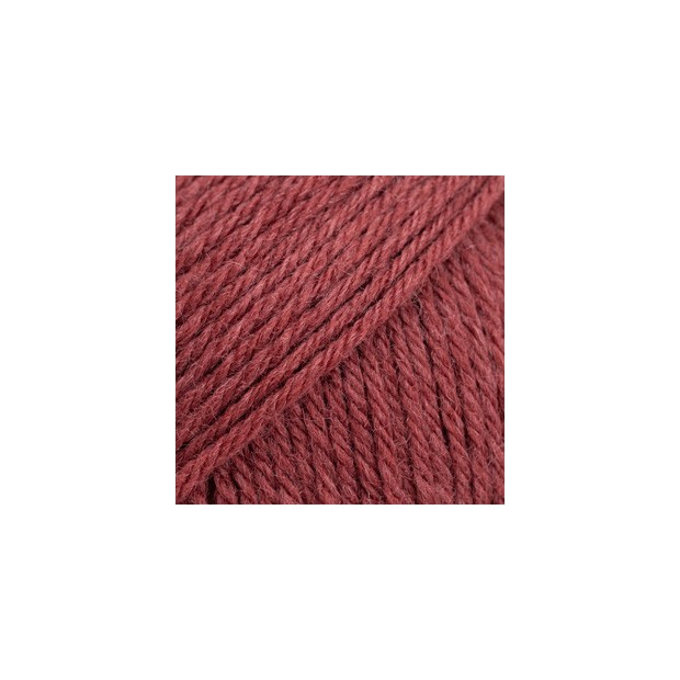 Saga 24 - baya de acebo-2