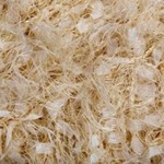 Lemans 053 - beige claro